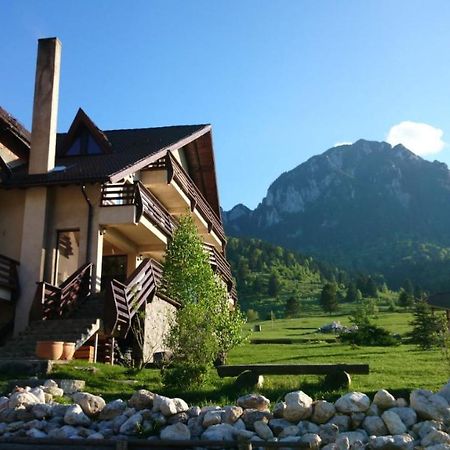Taverna Pietrei Craiului Zărneşti Extérieur photo